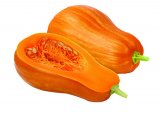 Tikva butternut 1 kg