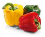 Paprika 3 boje S-BUDGET 1 pak