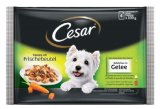 CESAR 4x100 g