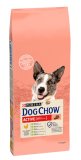 DOG CHOW ADULT ACTIVE 14 kg