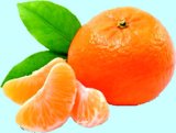 Mandarina 1 kg