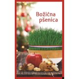 Sjeme povrća GREEN GARDEN BOŽIĆNA PŠENICA 100g