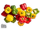Paprika mix