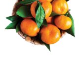 MANDARINA 1 kg