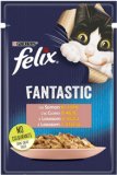 FELIX FANTASTIC 85 g