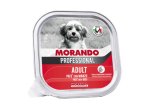 MORANDO PROFESSIONAL ADULT PATE