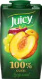 Juicy SOK 100% gusti 0,5 l