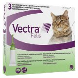 VECTRA FELIS ampula za liječenje i sprječavanje infestacija buhama kod mačaka dinotefuran/piriproksifen, 0,9 ml