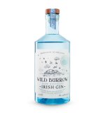 Irish Gin 0,7 l