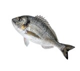 Orada 1 kg