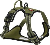 DOGS CREEK PATHFINDER oprsnica