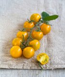 Nektar cherry rajčica 'Sweet Yellow'