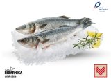 Svježi očišćeni jadranski brancin 720 g