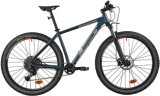 BRDSKI BICIKL ARGALIS / RAMBLER CUES ELAN