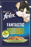 FELIX FANTASTIC