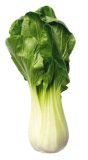 Pak Choi 1 kom