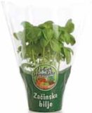 ZAČINSKO BILJE VRTOVI HRVATSKE