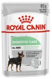 ROYAL CANIN DIGESTIVE CARE 85 g