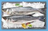 Svježi očišćeni jadranski brancin 720 g