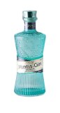 Mintis