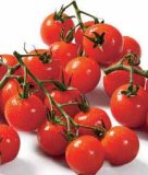 Domaća rajčica mini grapolo 500g 