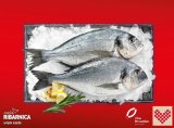 Svježa jadranska orada Cromaris 720 g