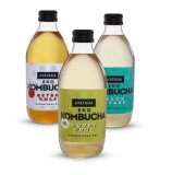 Bio Kombucha Ayatana 0.33 l