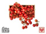 Domaća rajčica mini grappolo