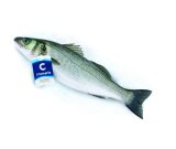 Svježi domaći brancin Cromaris 1 kg
