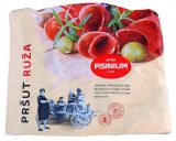 Pisinium