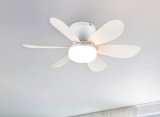 Stropni ventilator s LED osvjetljenjem 'Lund'