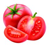 Rajčica, rajčica Grapolo 1 kg