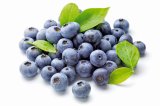 Borovnica Vrtovi Hrvatske 500 g