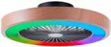 Stropni ventilator s LED rasvjetom