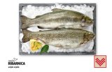Svježa očišćena domaća pastrva 550 g
