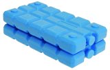 Uložak za rashladnu torbu 2x200 g