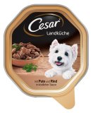 Cesar