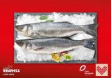 Svježi očišćeni jadranski brancin 720 g