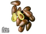 Avokado