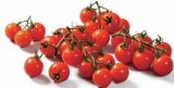 Domaća rajčica mini grappolo 500 g