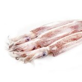 LIGNJA INDIJSKA 3-6 kg