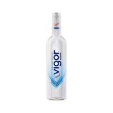 Vodka Vigor 1 l