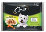 CESAR