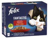 FELIX FANTASTIC