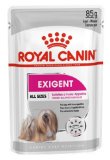 ROYAL CANIN EXIGENT
