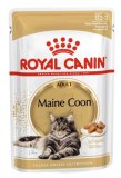 ROYAL CANIN MAINE COON