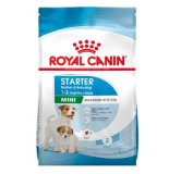 ROYAL CANIN MINI STARTER