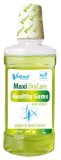 VETFOOD MAXI ORACARE HEALTHY GUMS