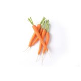 Domaća mrkva 1 kg