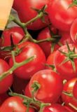 Domaća rajčica mini grappolo 500 g